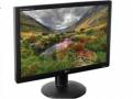 Monitor VGA Widescreen LG 19"